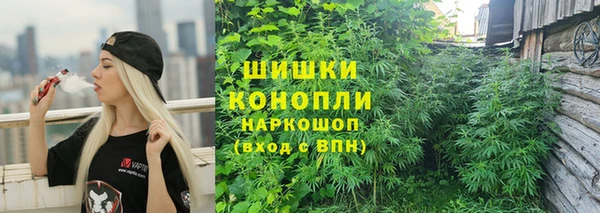 соль ск Лабытнанги