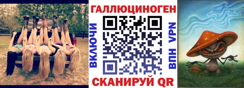 Галлюциногенные грибы Psilocybe  Новороссийск 