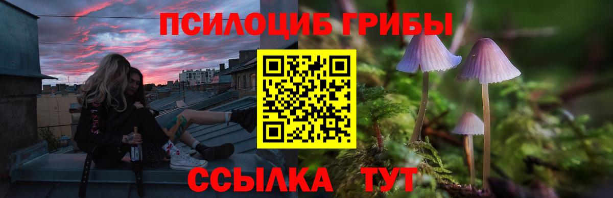 Псилоцибиновые грибы Magic Shrooms  Псилоцибиновые грибы Magic Shrooms  Вход с VPN  Новороссийск 